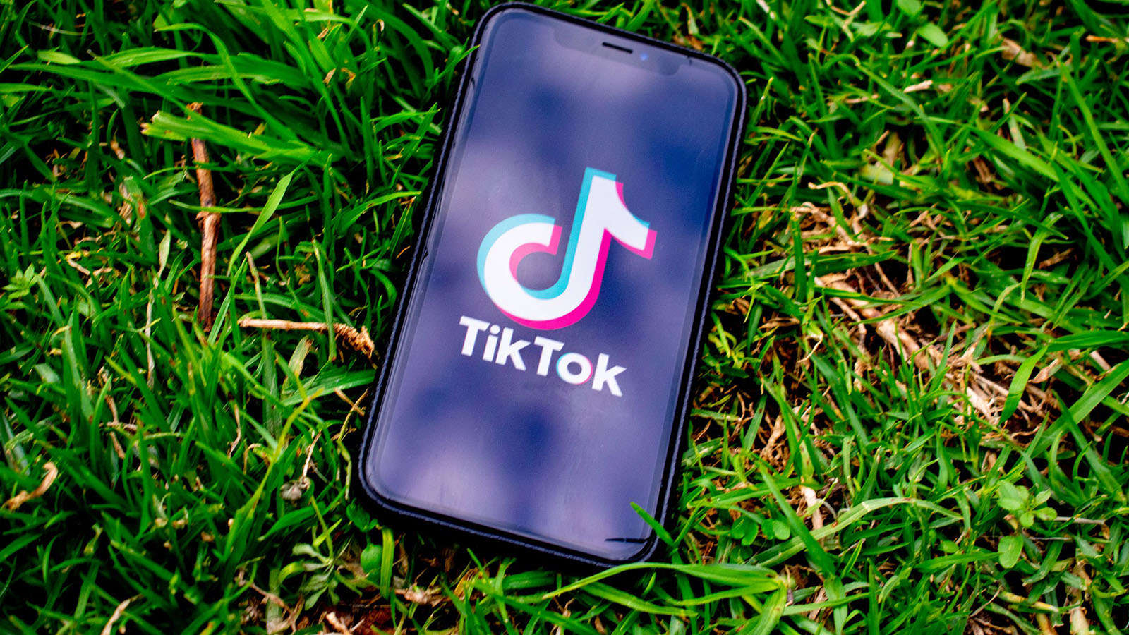 Buy Tiktok Views Easily post thumbnail image