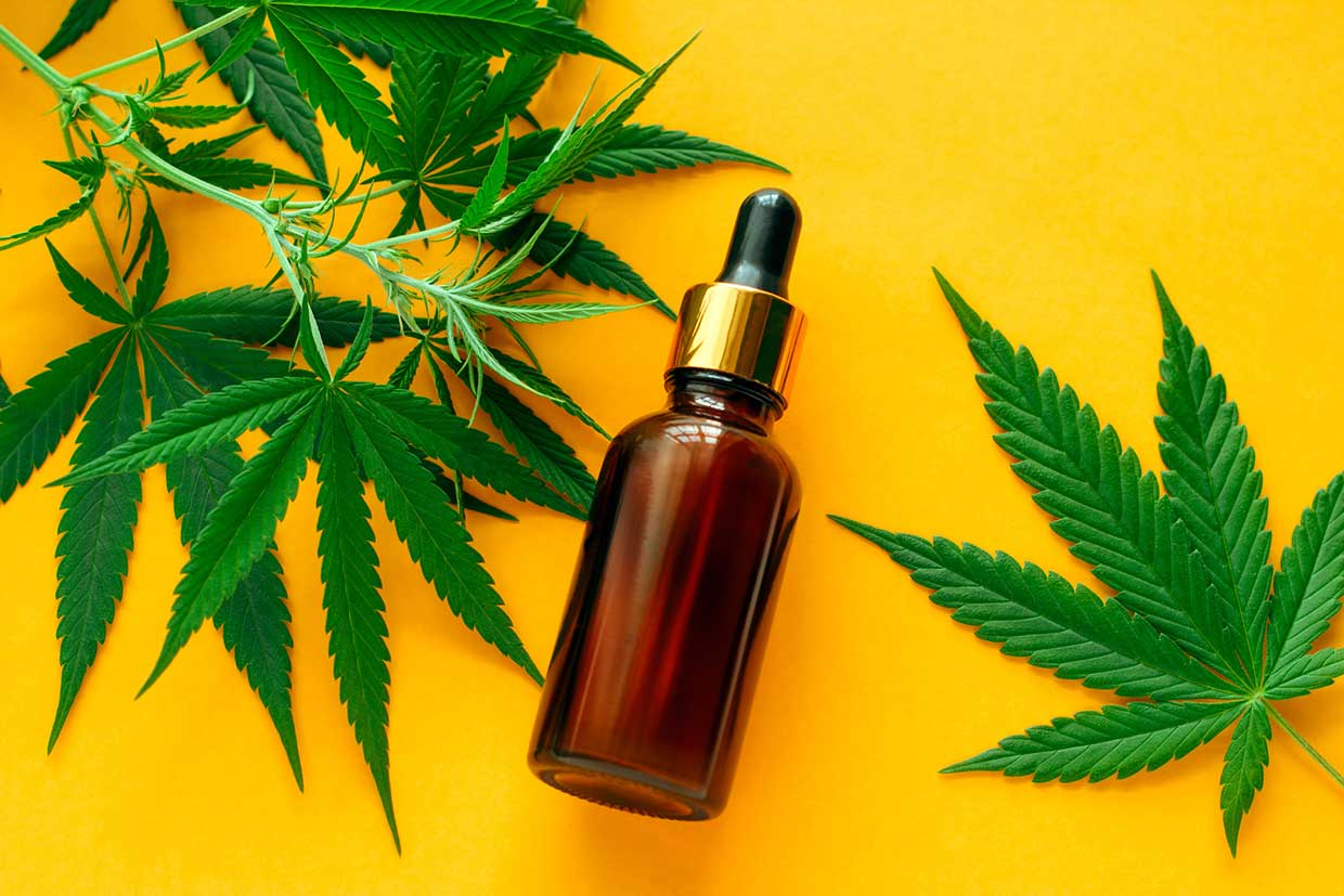 CBD San Diego the perfect place for purchase post thumbnail image
