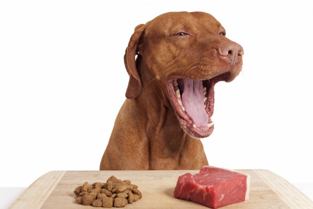 This type of best raw dog food diet will not consist of unnatural colors or types post thumbnail image