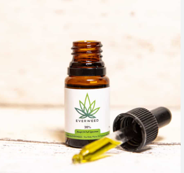 How to Determine Which Olio CBD Is the Best Fit for Your Requirements post thumbnail image