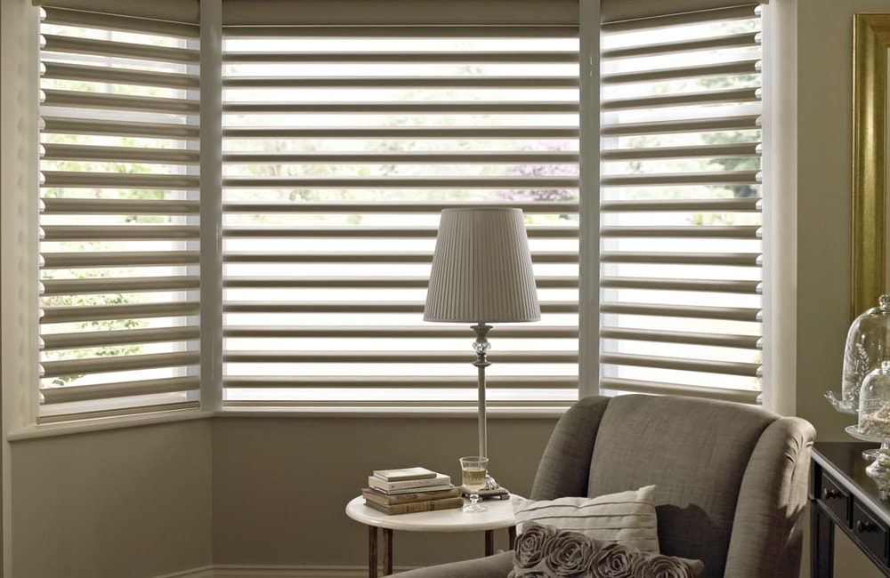Blinds for Owners: Durable Alternatives for Furry Good friends post thumbnail image