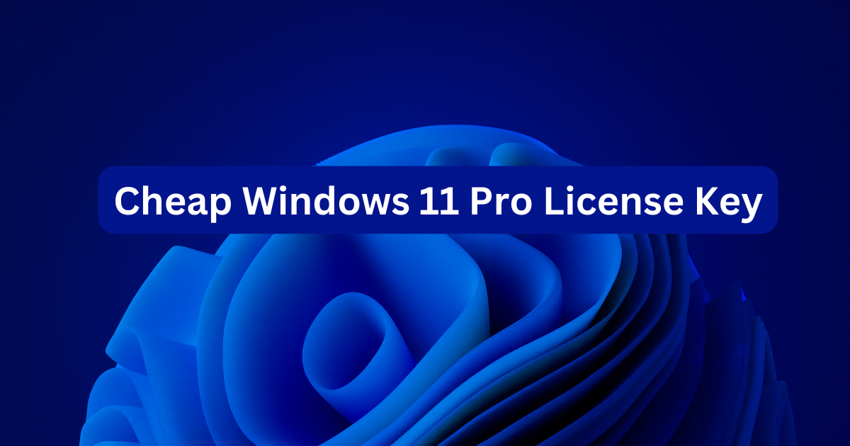 Buy Windows 11 Pro Key: Upgrade to Pro on a Budget post thumbnail image