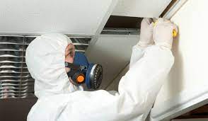 The Importance of Asbestos Testing post thumbnail image